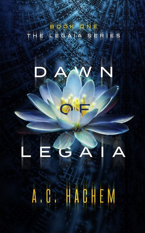 Book Cover For Dawn of Legaia