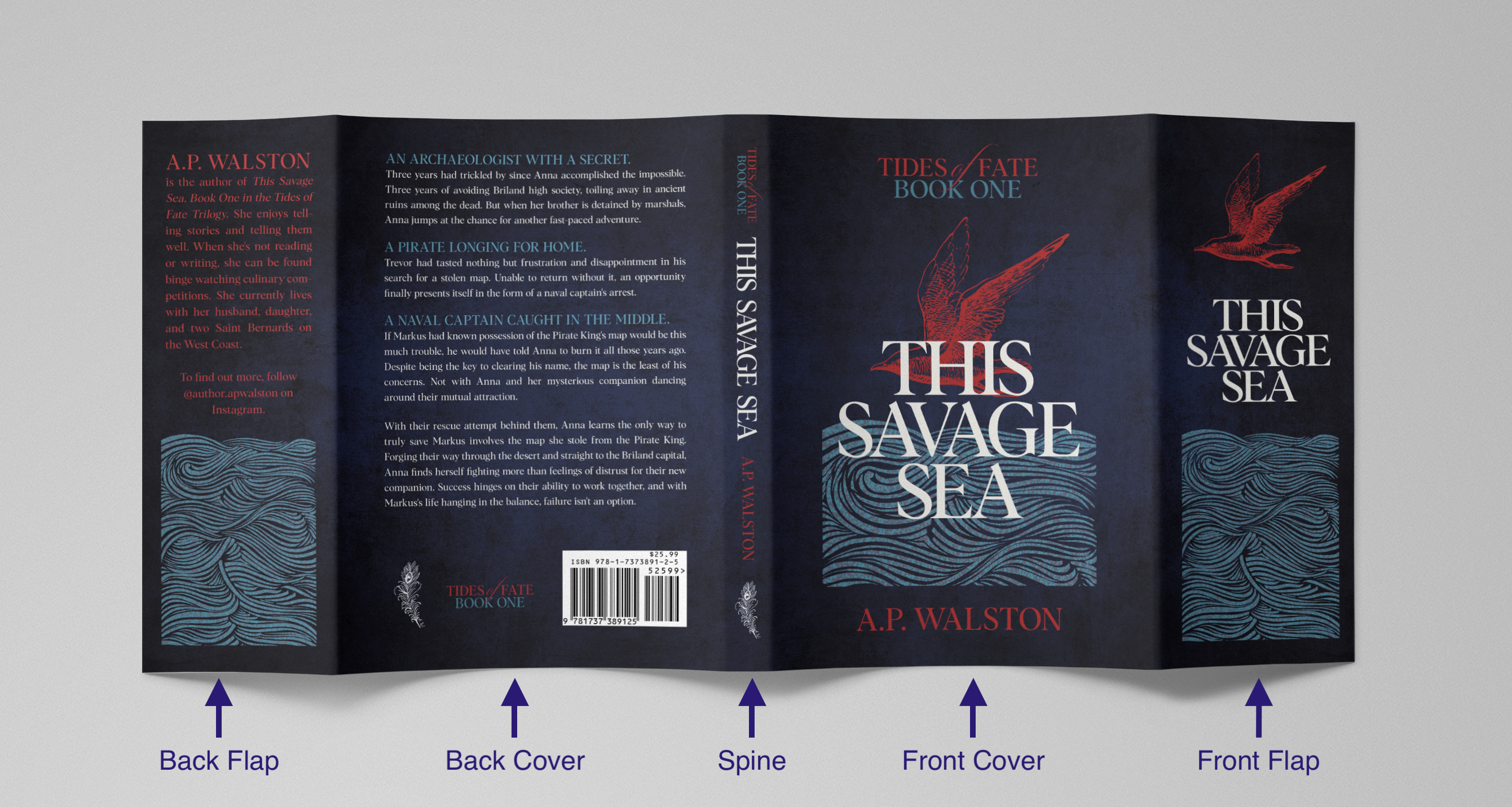 Dust Jackets For Books An Author s Guide plus 10 Examples Ebook 