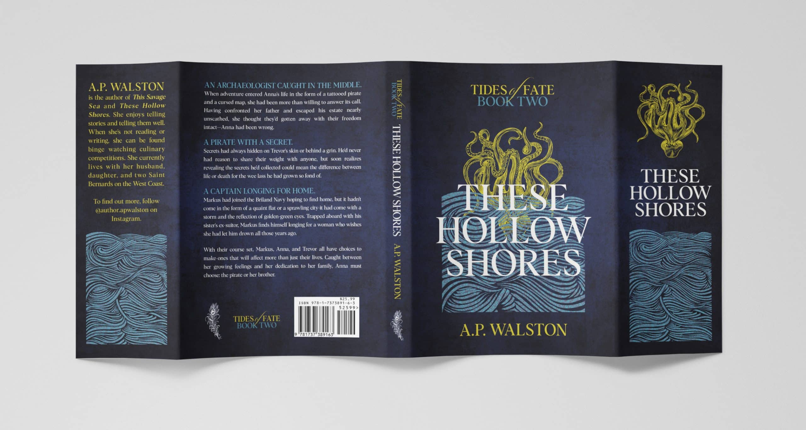 Dust Jackets for Books - An Author's Guide (plus 10 Examples